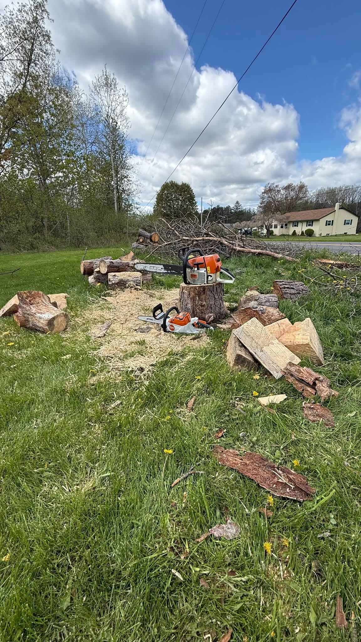 Chainsaws and cut timber during property cleanup